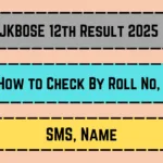 JKBOSE 12th Result 2025_20250430_195758_0000
